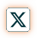 X (Twitter)
